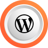 wordpress work